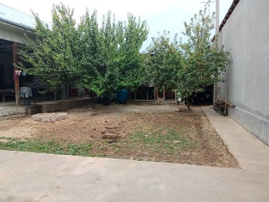 Ташкентская область, Коксарай