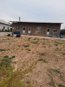 Ташкентская область, Янгиюль