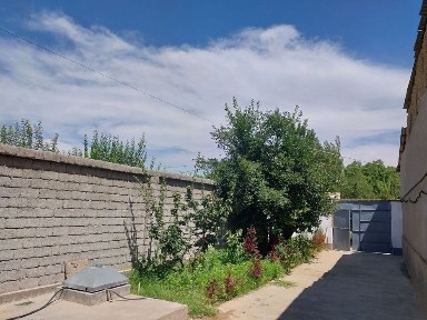 Ташкентская область, Коксарай
