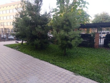 Ташкент, Юнусабадский район, Ташкентская область