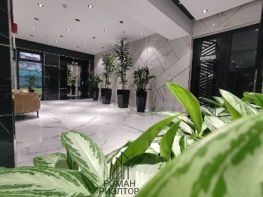 Ташкентская область, Ташкент, Мирабадский район