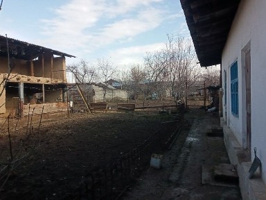 Ташкентская область, Янгибазар