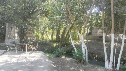 Hovli uy, Dacha/ Ховли үй, Дача