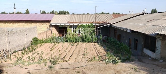 Ташкентская область, Ташкент, Юнусабадский район