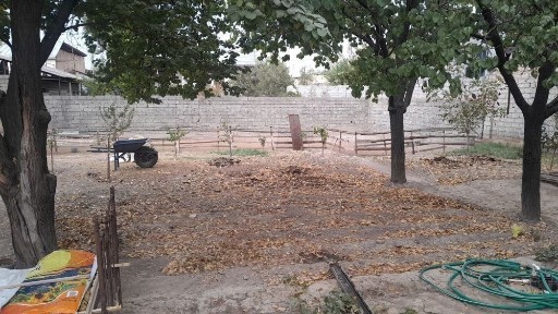 Ташкентская область, Коксарай