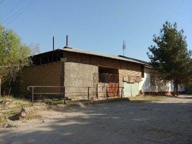 Ташкентская область, Нурафшан (Тойтепа)