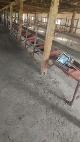 Ташкентская область, Янгиюль