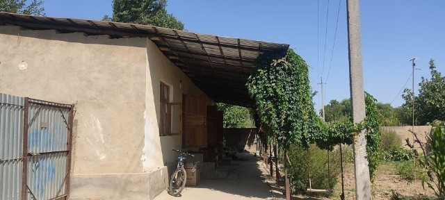 Ташкентская область, Нурафшан (Тойтепа)