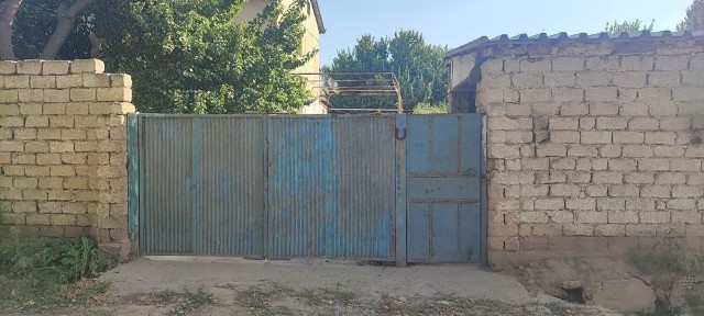 Ташкентская область, Нурафшан (Тойтепа)