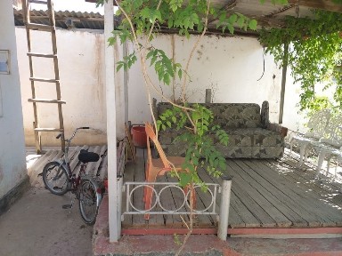 Ташкентская область, Нурафшан (Тойтепа)