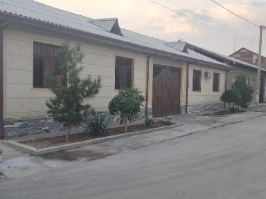 Ташкентская область, Нурафшан (Тойтепа)