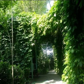 Ташкентская область, Ташкент, Юнусабадский район