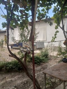 Ташкентская область, Нурафшан (Тойтепа)