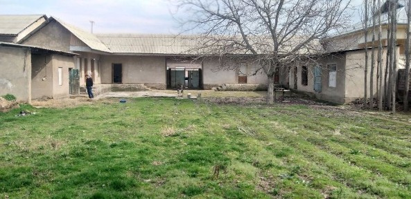 Ташкентская область, Нурафшан (Тойтепа)