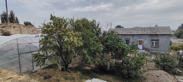 Ташкентская область, Нурафшан (Тойтепа)