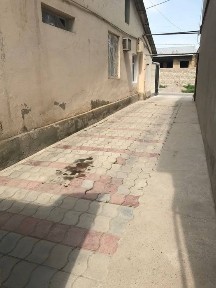 Ташкентская область, Зангиата