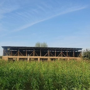 Ташкентская область, Ташморе