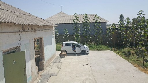 Ташкентская область, Нурафшан (Тойтепа)