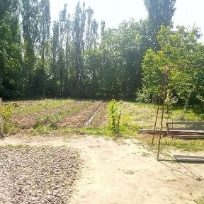 Ташкентская область, Газалкент