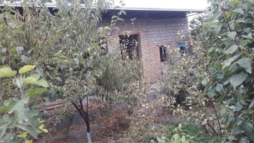 Участка Мустакиллик махалласида ( тошкент магазинидан кирилад)