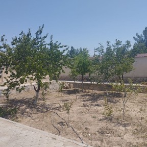 Навоийская область, Канимех