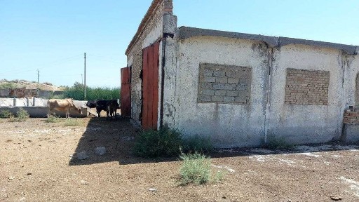 Сырдарьинская область, Сырдарья