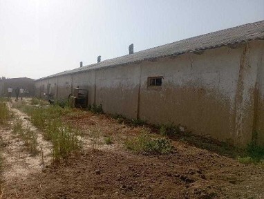 Джизакская область, Джизак