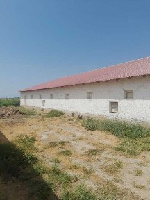 Джизакская область, Зарбдар