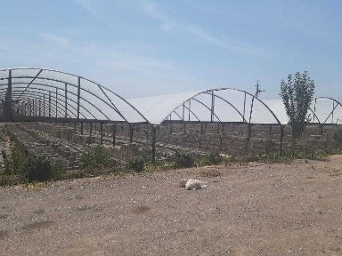 Наманганская область, Пап