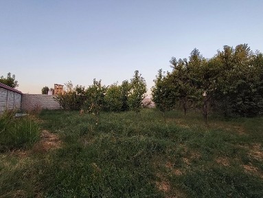 Ташкентская область, Ташкент, Шайхантахурский район