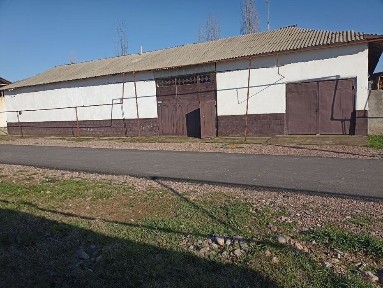 Ташкентская область, Янгибазар