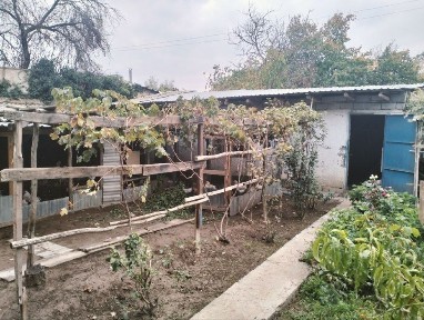 Ташкентская область, Ташкент, Яшнабадский район