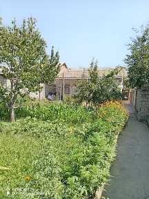 Янги хаёт тумани Жалоир Мфй 5сотих 3 хона