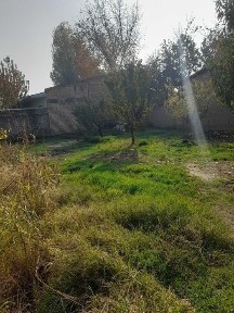 Ташкентская область, Зангиата