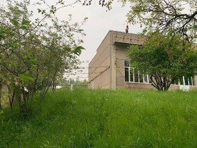 Kumushkonda joylashgan dalahovli sotiladi