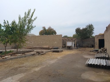 Ташкентская область, Нурафшан (Тойтепа)