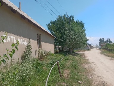 Ташкентская область, Чиназ