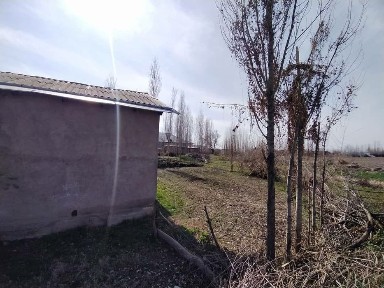 Ташкентская область, Нурафшан (Тойтепа)