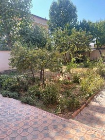 Мажнунтол 8 соток Ховли СВОЯ СРОЧНО ДЕШЕВО Водник, Арзон УЙ