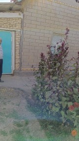 Ташкентская область, Искандар