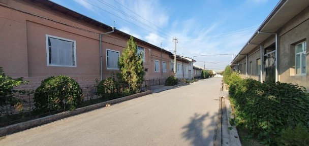 Ташкентская область, Янгиюль