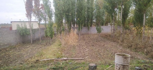 Ташкентская область, Ташморе