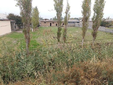 Ташкентская область, Нурафшан (Тойтепа)