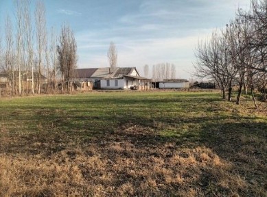 Ташкентская область, Янгиюль