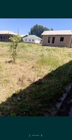 Ташкентская область, Нурафшан (Тойтепа)