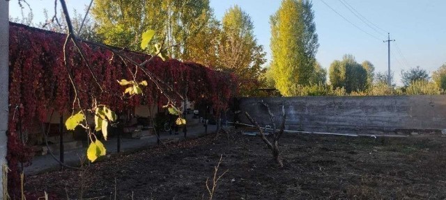 Ташкентская область, Нурафшан (Тойтепа)