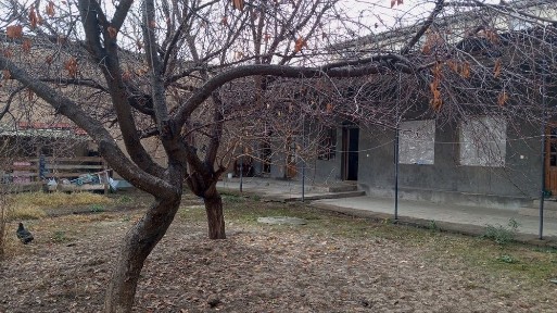 Ташкентская область, Ташкент, Алмазарский район