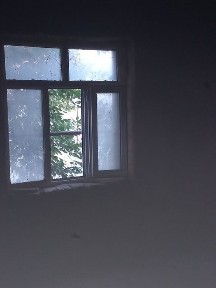 Ташкентская область, Янгибазар