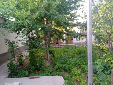 Ташкентская область, Назарбек