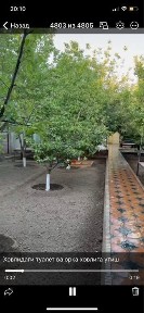 Сурхандарьинская область, Термез